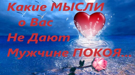 Бокс, Хейбати — Емельяненко, Василевский — Ковалев: когда бои, где смотреть, кард