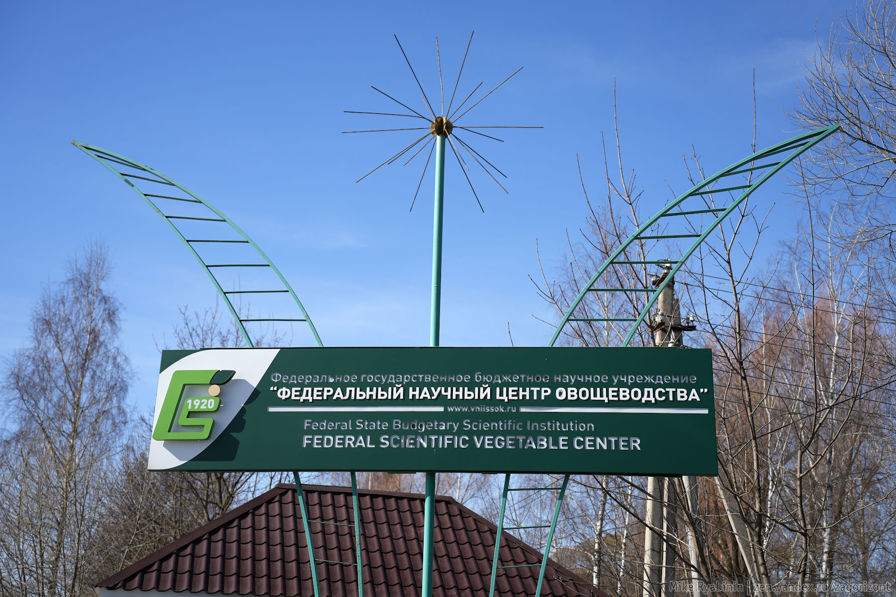 Дачникам готовность номер один! Посмотрел, как готовят рассаду для сезона огородников17