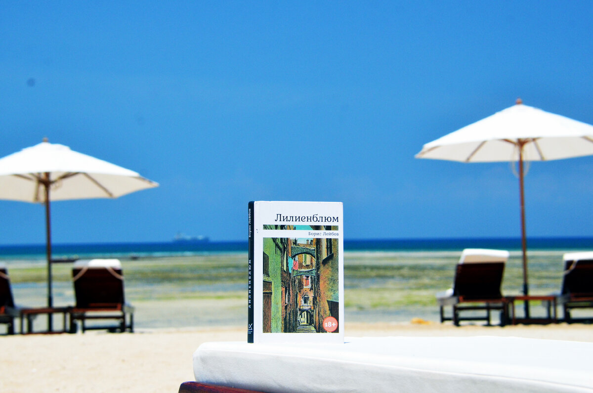 Борис Лейбов, роман "Лилиенблюм": Издательство ПЛАНЖ 2022