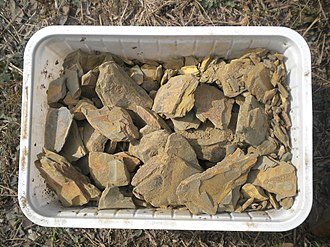 Фуллерова земля. Фото с сайта https://translated.turbopages.org/proxy_u/en-ru.ru.543fe653-6315dec8-4174a7ef-74722d776562/https/en.wikipedia.org/wiki/Fullers_Earth