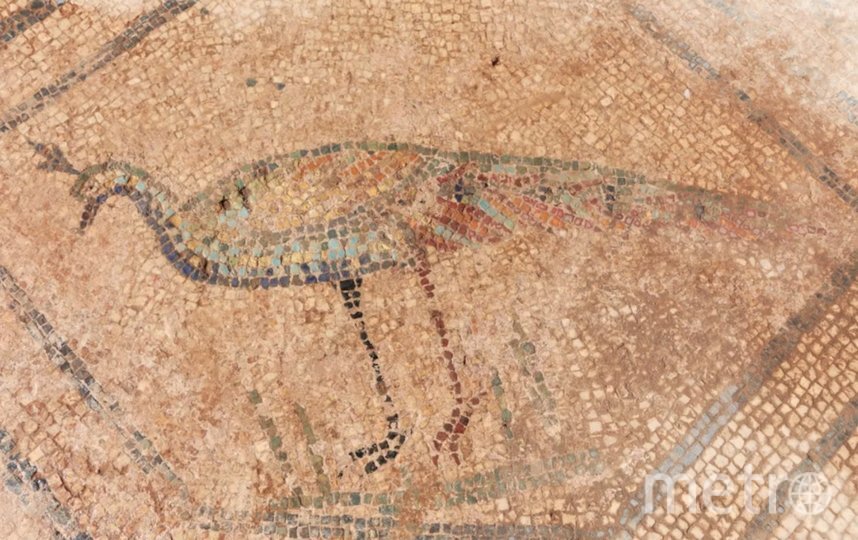    В Испании археологи нашли мозаику с изображением Медузы Горгоны.