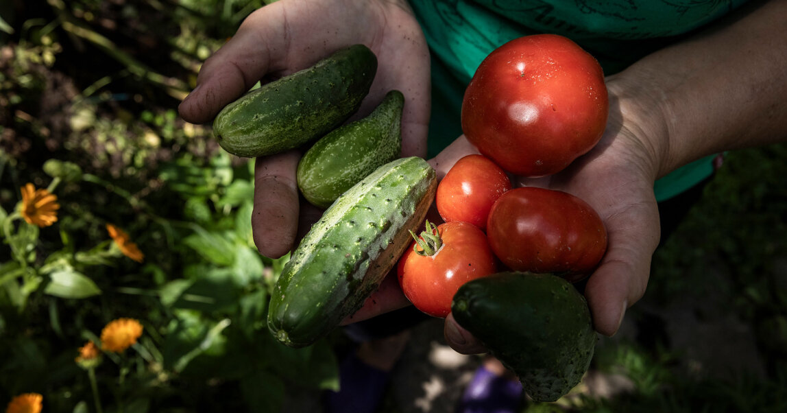    Больше чистой воды, свежих овощей и гигиенической продукции: как лизинг помогает развиваться небольшим производителям