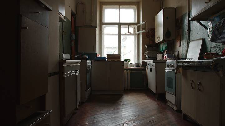  Фото: shutterstock