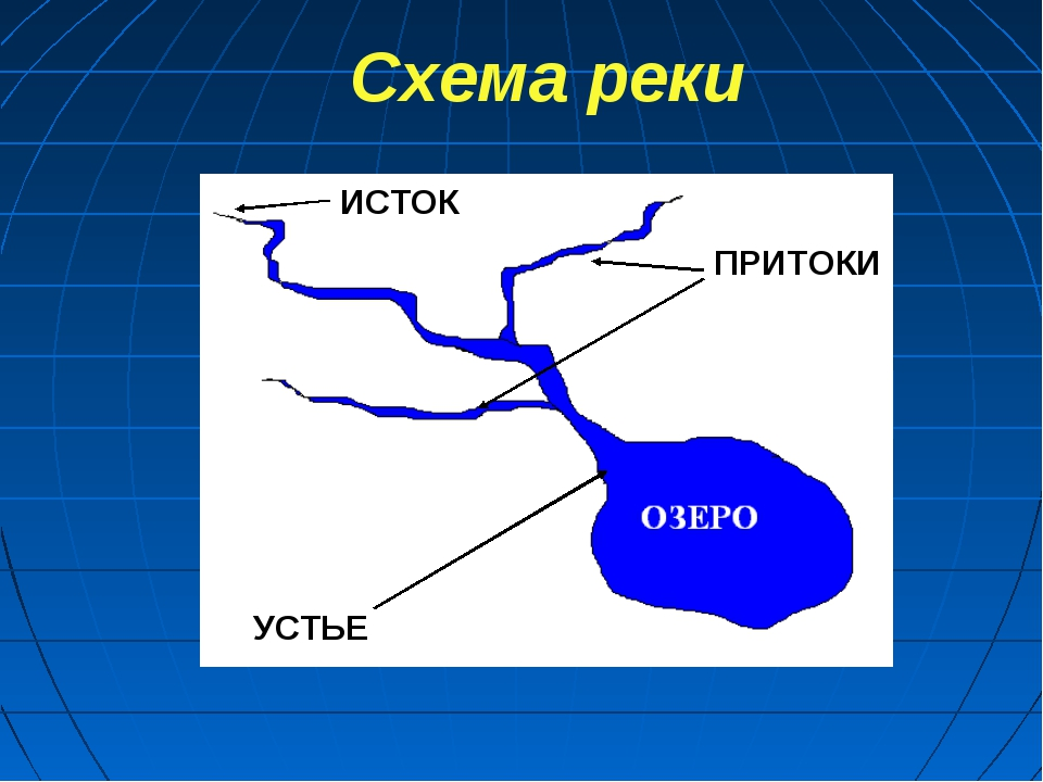 Устье магазины. Схема реки Исток приток Устье. Исток Устье приток схема. Что такое Устье реки и Исток и русло и приток. Река Исток приток Устье рисунок.