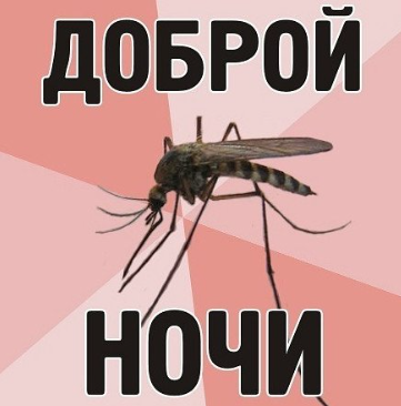 При подготовке этой статьи был просмотрен ряд мемов про комаров. 