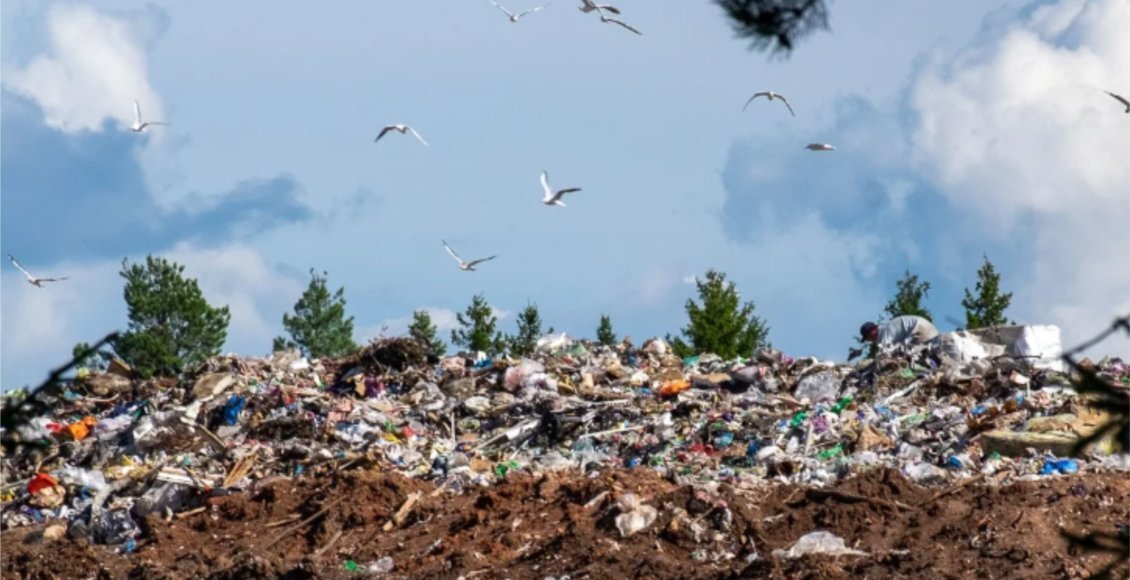    Фото: smartik.ru