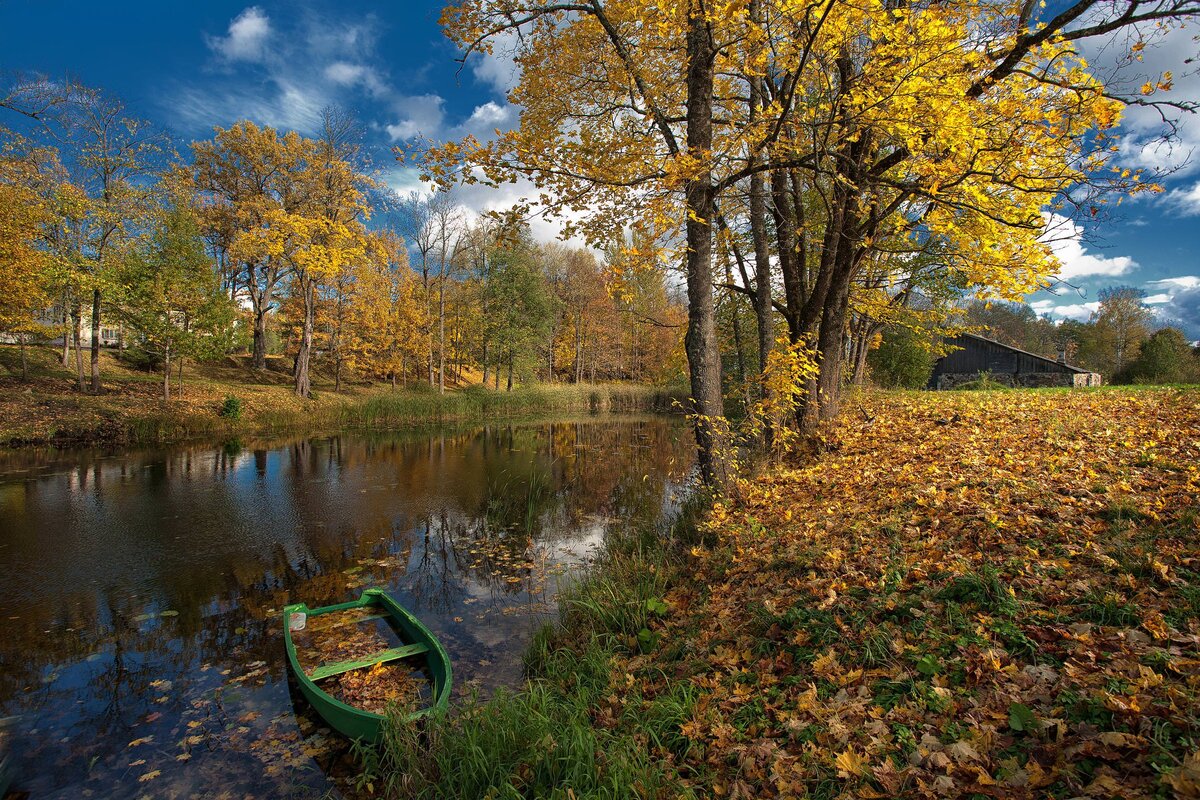 Фотография с сайта: https://foto-onlain.ru/online/осень-в-октябре-фото/