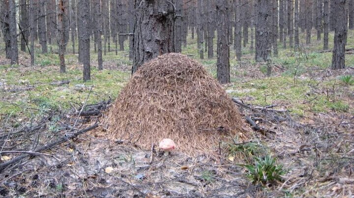 Зато не скучно.