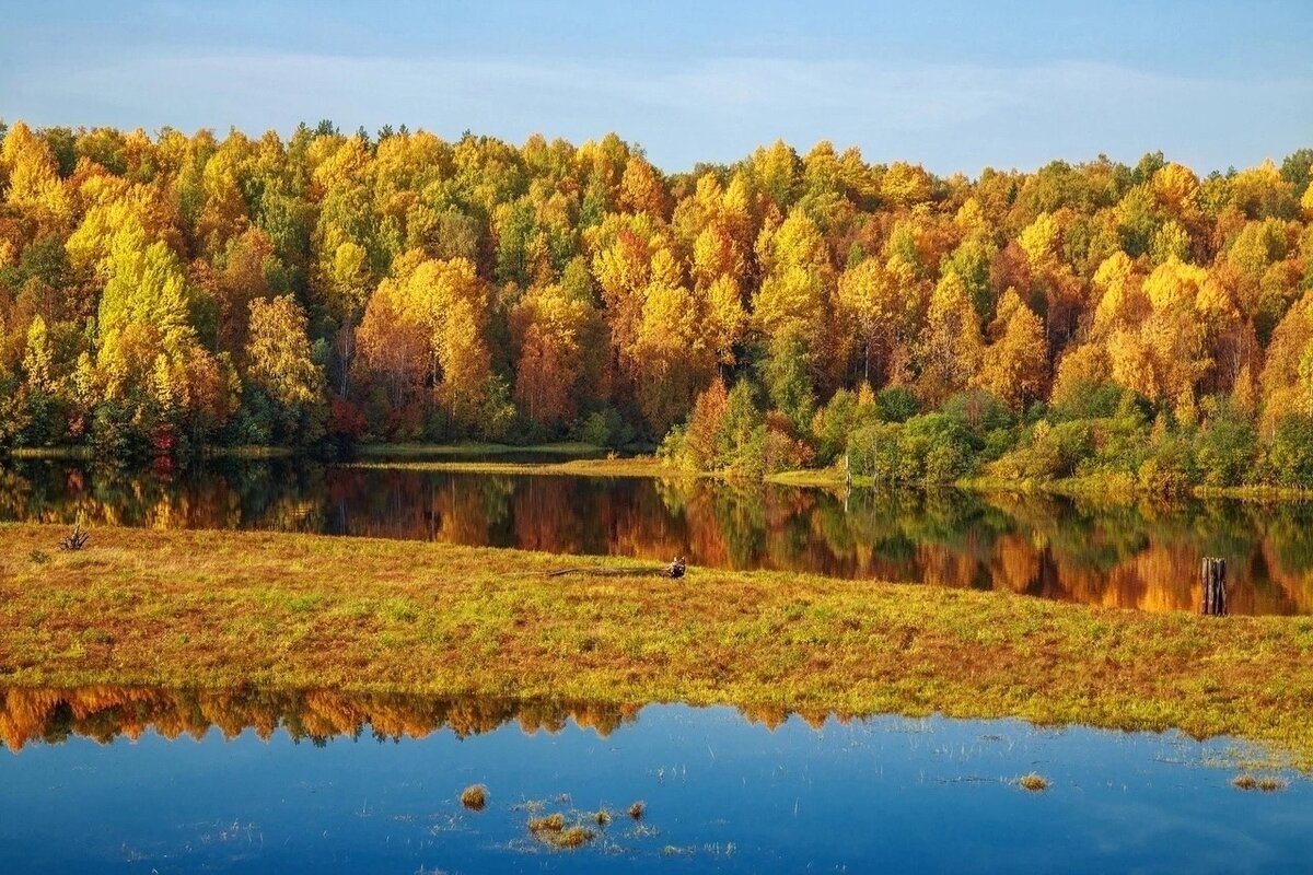 Кенозерский парк осень