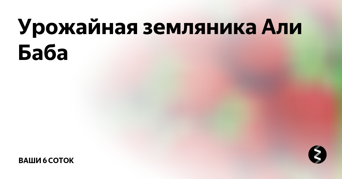 Урожайная земляника Али Баба | "Ваши 6 соток" с Андреем Тумановым | Дзен