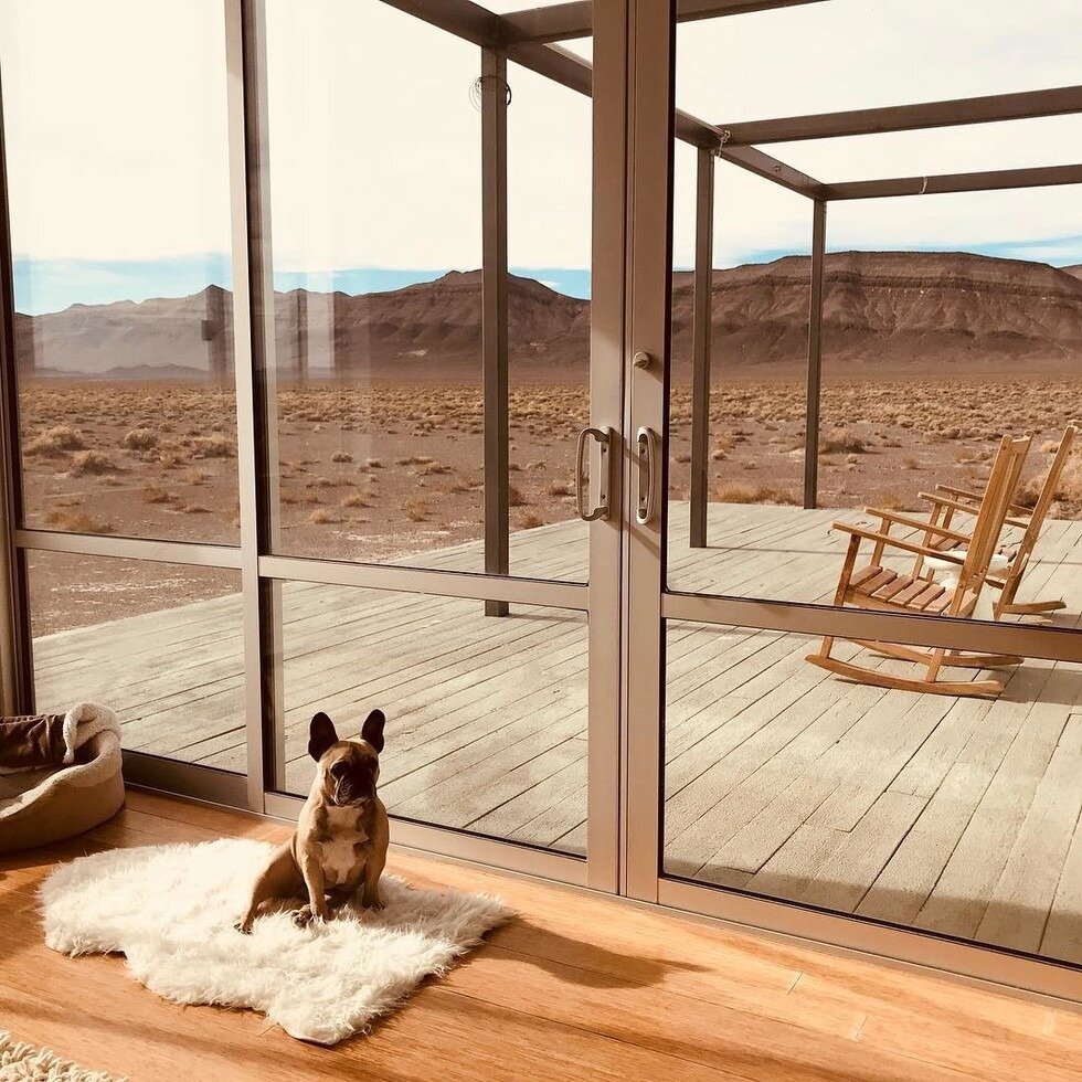 Фото: © instagram.com/drstevendavid