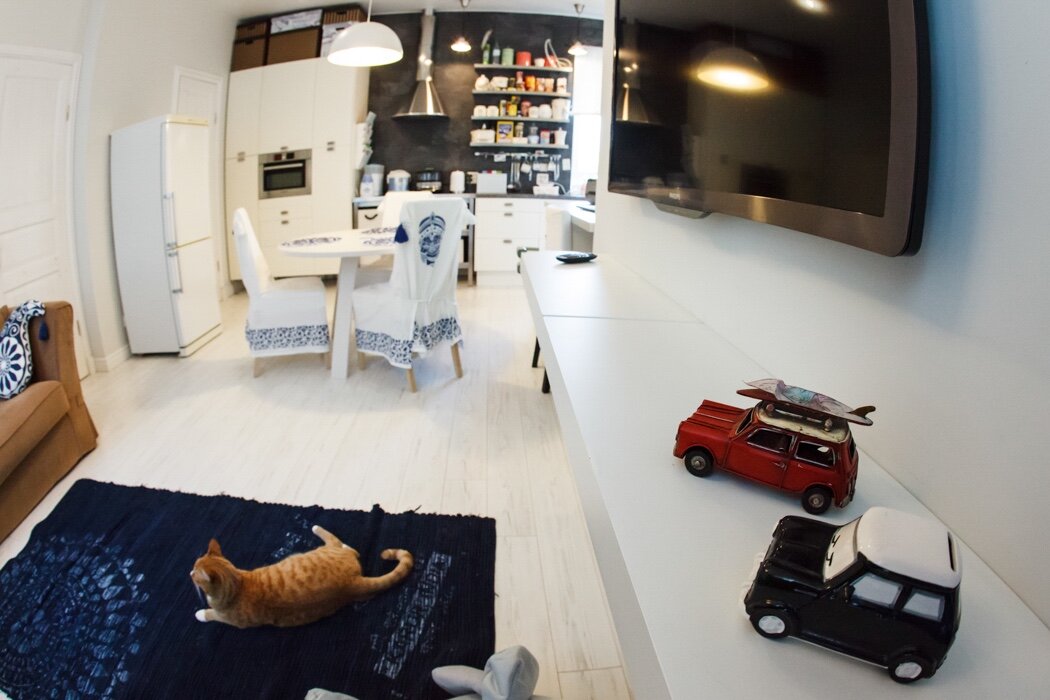 Проект Dots Design «Квартира на Петроградке» 