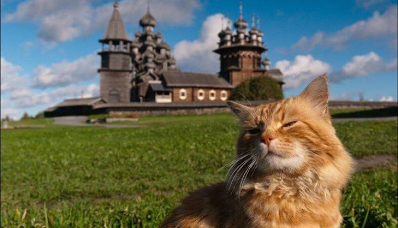 фото Леонида Штишевского