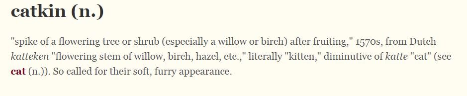 Source: Online Etymology Dictionary 