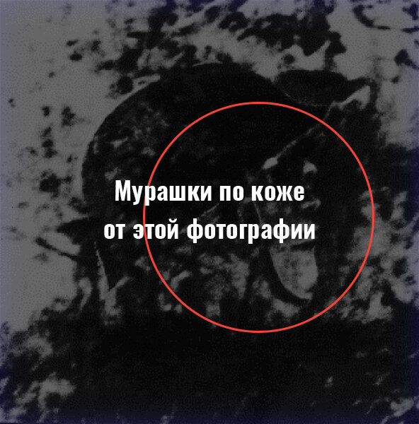 Исследователи принести ковалеву три аномальных образца