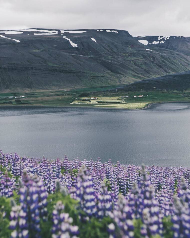 Iceland Фьорд