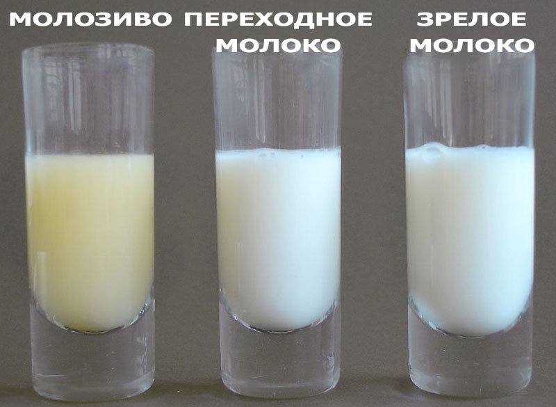 Признаки недостатка молока | Улучшение лактации | Medela