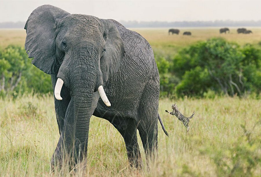 Фото: Ribalych.ru