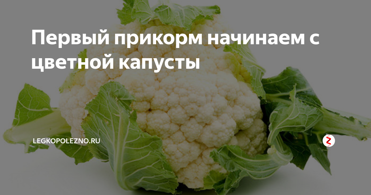 Первый прикорм цветной капустой. Цветная капуста пюре для первого прикорма. Пюре из кабачка для грудничка фирма. Пюре из цветной капусты. Цветная капуста пюре для первого прикорма.