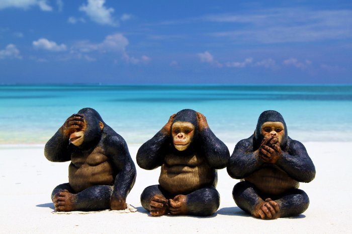 Фото с https://snob.ru