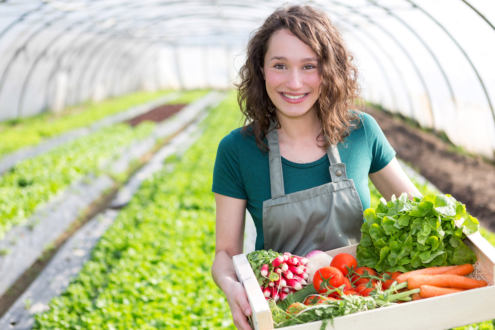 Farmer vegetables. Теплица с овощами. Теплица с урожаем. Агроном Овощевод