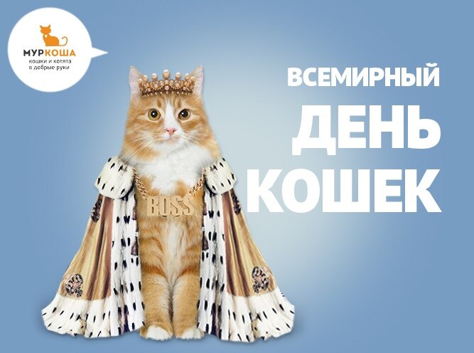 Международный день кошек. День кота. Всемирный день котов.