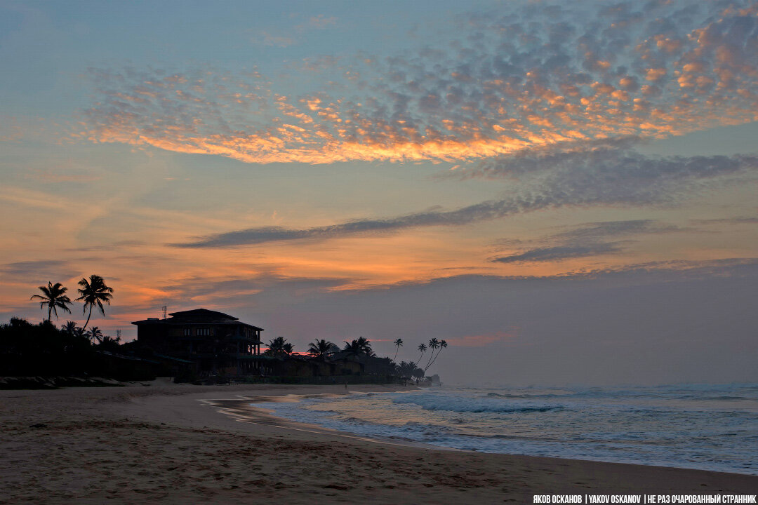 Индийский океан шри ланка. Где лучше шри ланка или таиланд. Где лучше шри ланка или таиланд. Шри ланка hikkaduwa. Шри ланка курорт хиккадува.