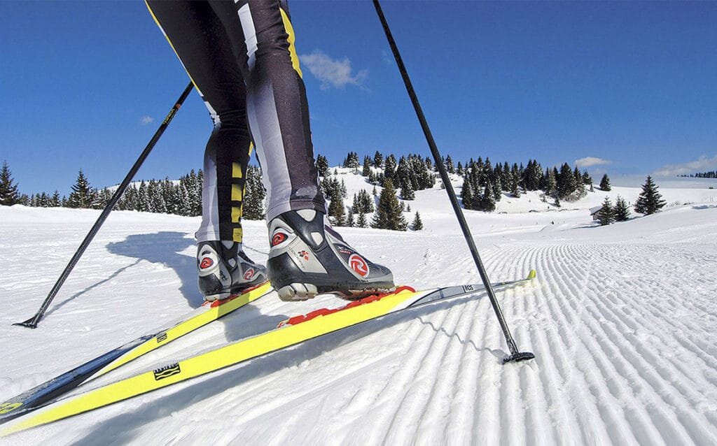 Охотничьи лыжи: как выбрать, материалы, виды, расчет по весу