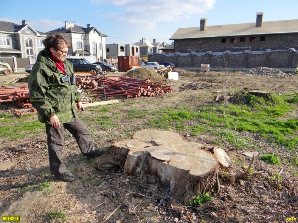 Участок 23:43:0426011:3732. На месте уничтоженного леса на берегу Старой Кубани начались строительные работы