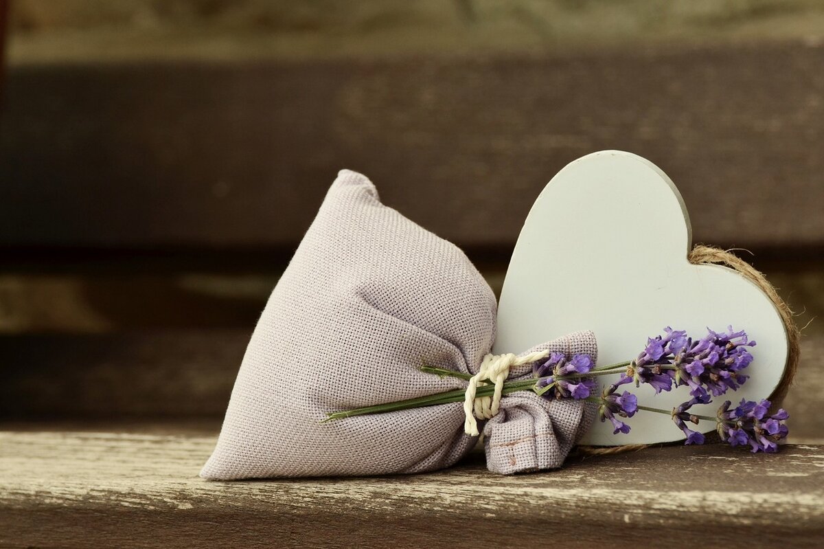 Фото: pixabay.com