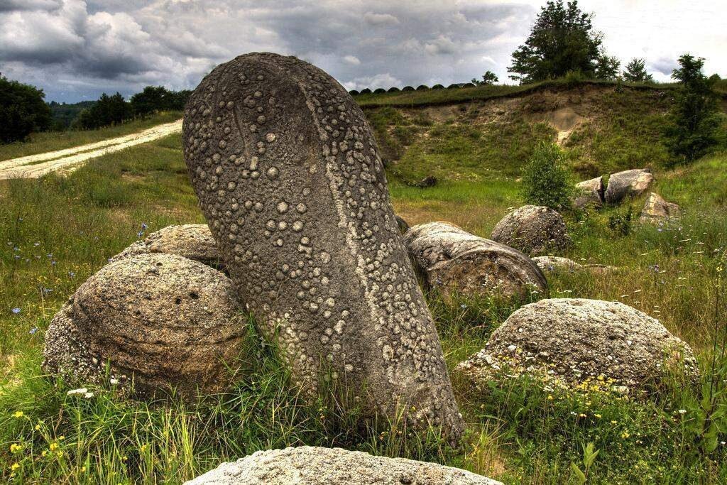 Камень имени б рэббитсона. Трованты живые камни Румынии. Трованты камень который растет в Румынии. Растущие камни Трованты. Румынские камни Трованты.