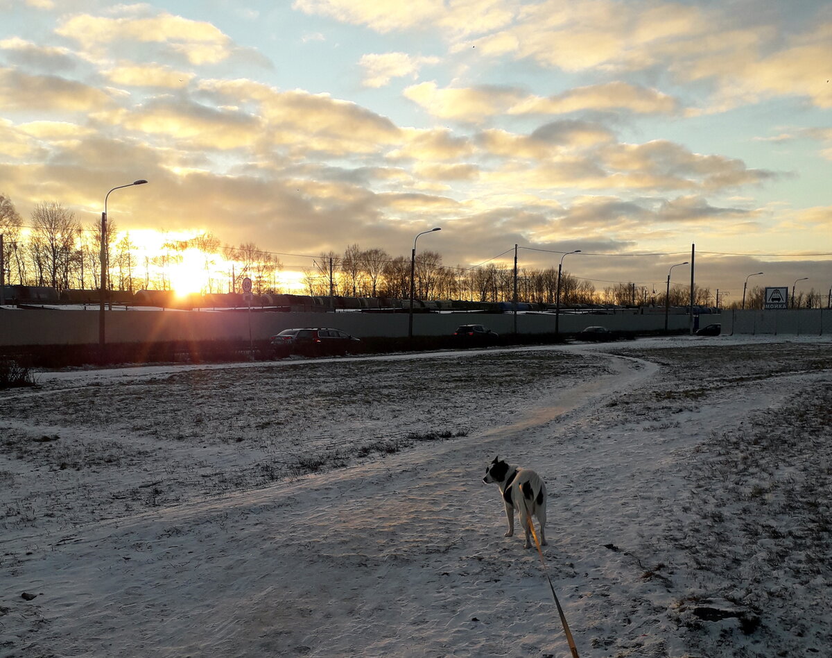 Наша причина и следствие