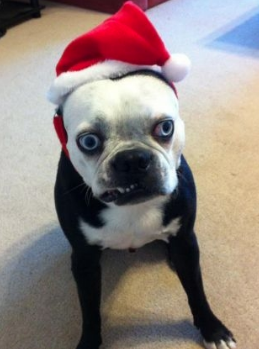 Ну, я вам покажу!