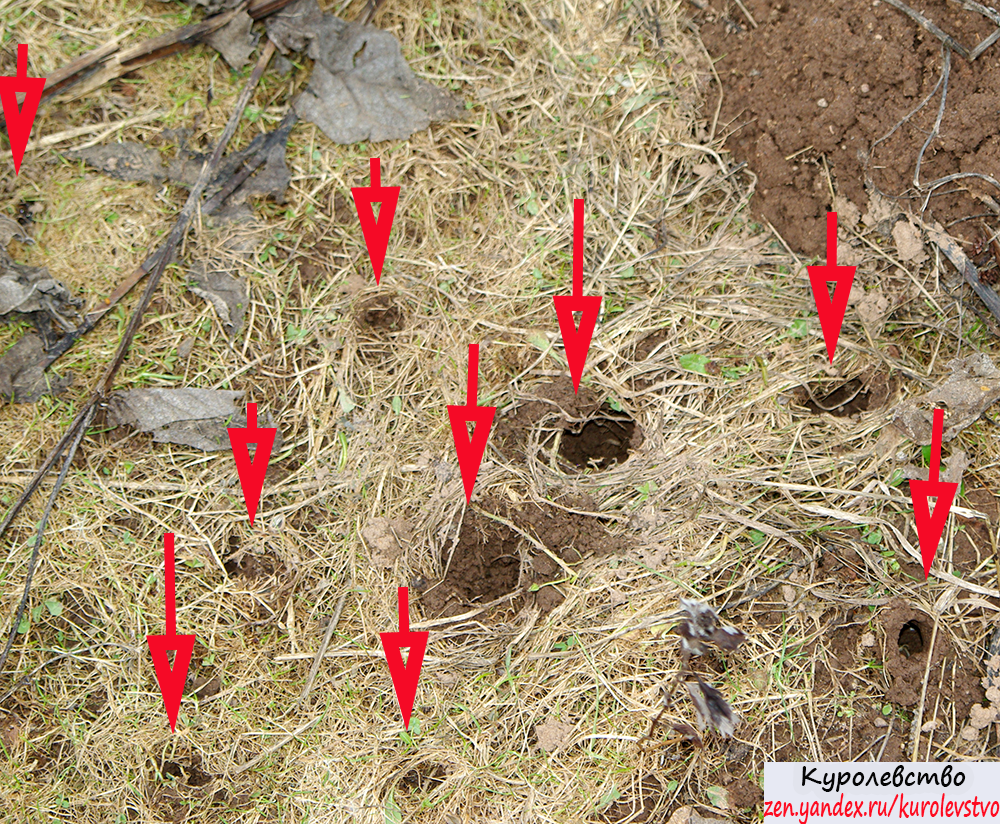 выход из лестничной клетки через тамбур. небольшие ответвления с запасным выходом отнорки позволяют. что значит отнорки. небольшие ответвления с запасным выходом отнорки позволяют. небольшие ответвления с запасным выходом отнорки позволяют.