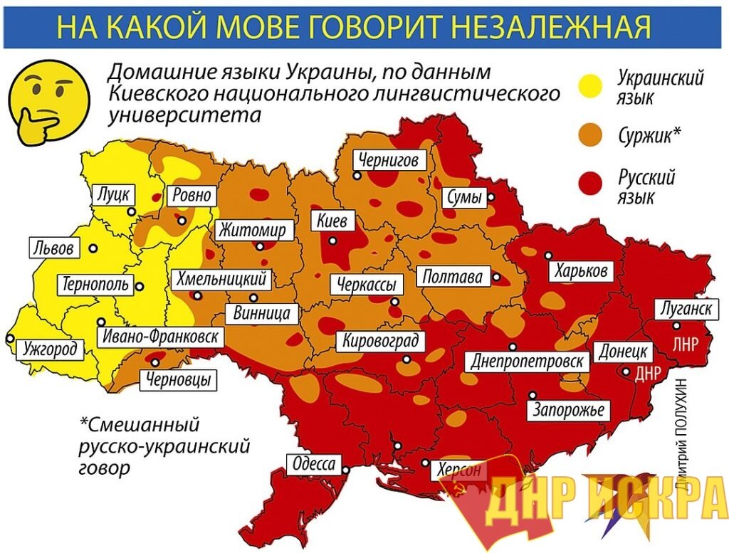 ПРОБЛЕМА ВЫБОРОВ: ЧТО ЖДЕТ РУССКИЙ ЯЗЫК В/НА УКРАИНЕ? | Ок, МГУгл - РКИ |  Дзен