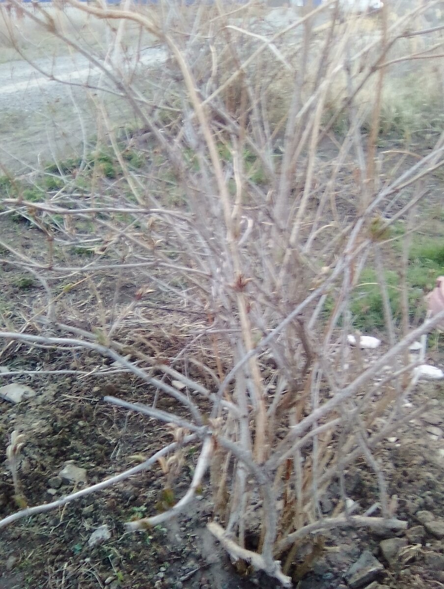 авторское фото