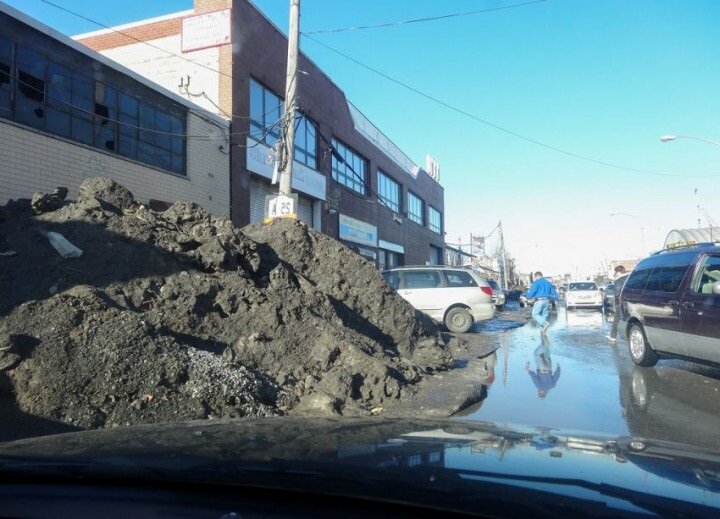 Америка, Нью-Йорк. https://mirvokrugnas.com/406178315052779948/nyu-jork-zapiski-naturalista/?comment=406191111287344706&single