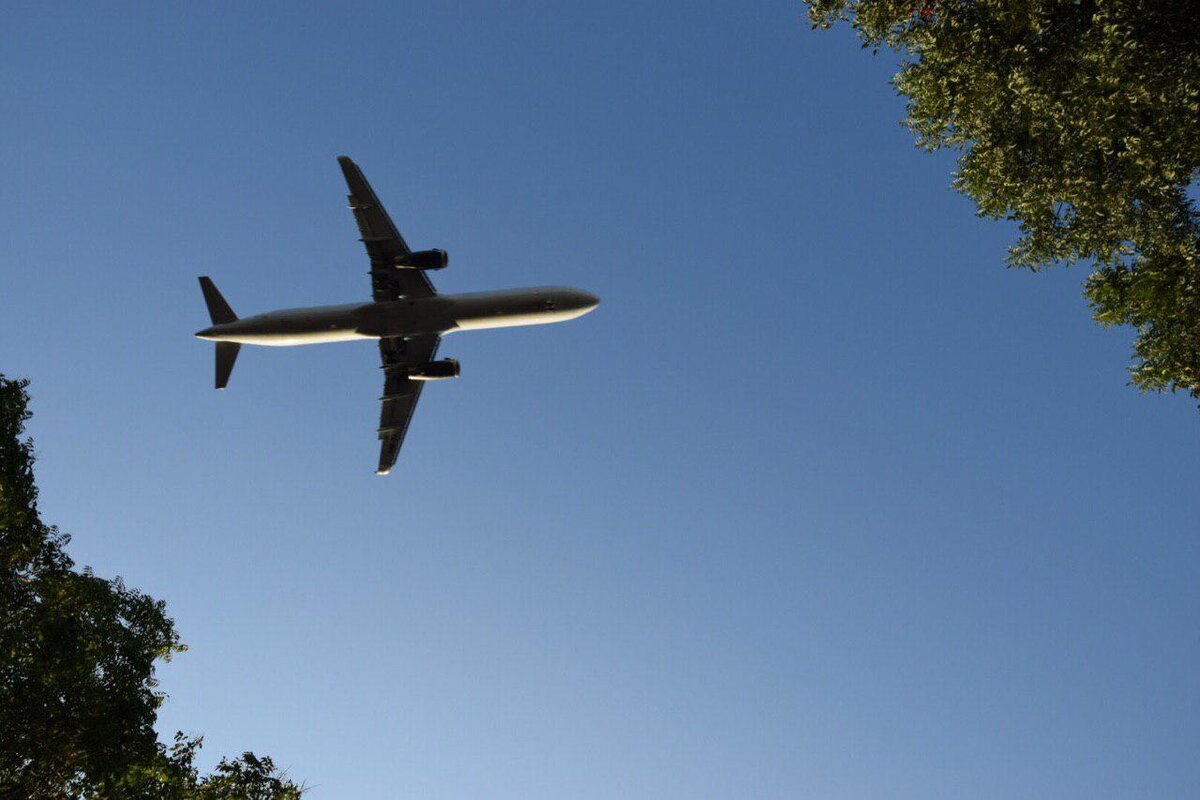 Фотоохота возле Сочинского аэропорта