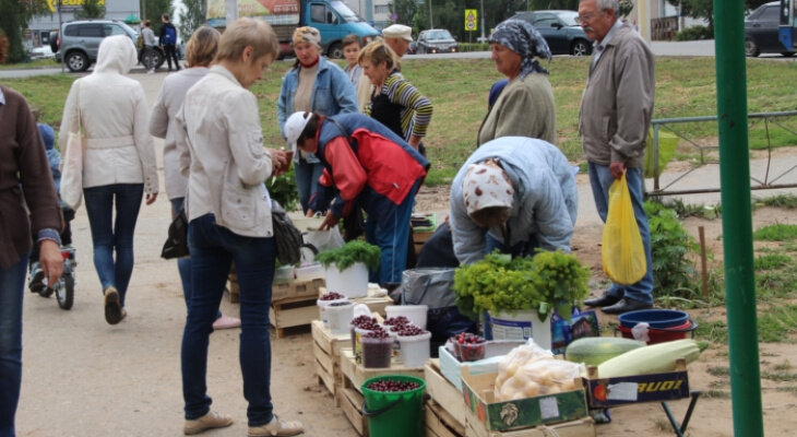 фото из открытых источников