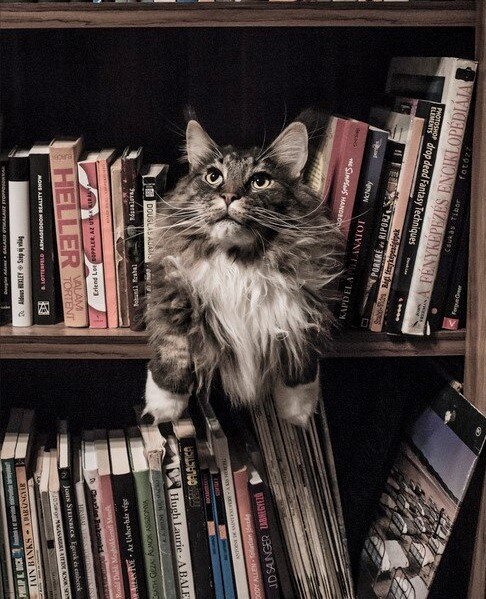 Снижаем уровень стресса за 6 минут. Быстро. Эффективно. Бесплатно. 