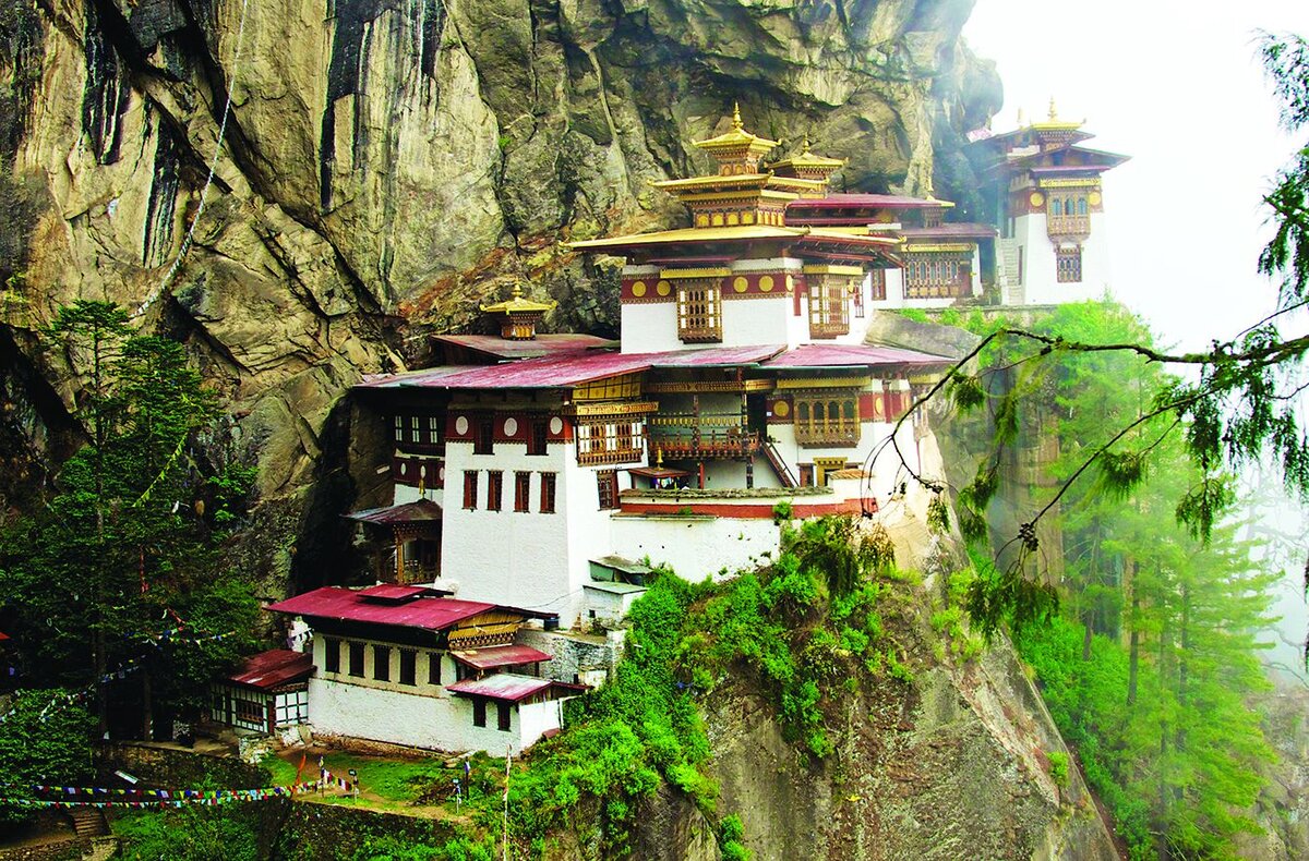 Фото: Nadezda Zavitaeva / shutterstock