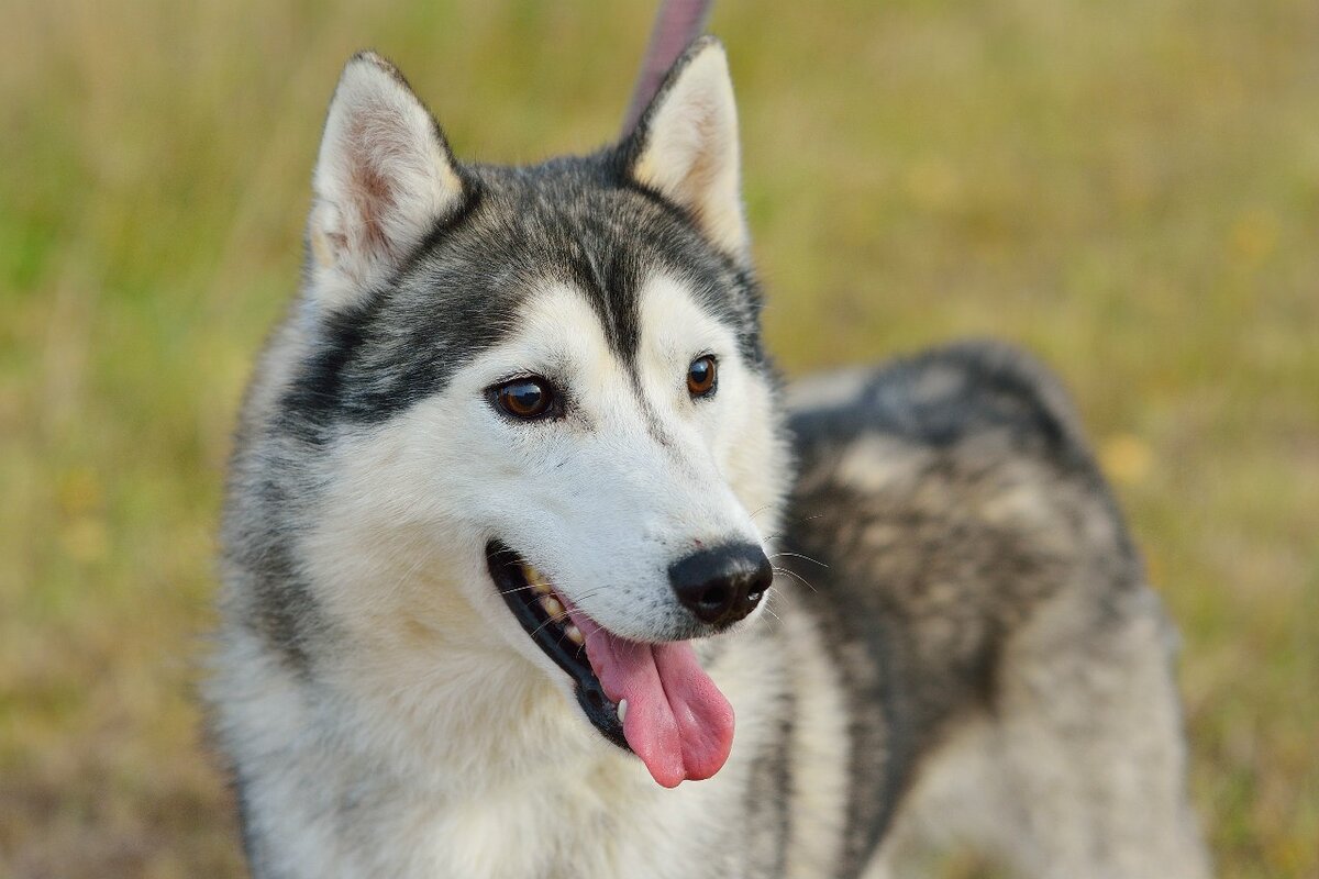 Сплю 11,5 лет