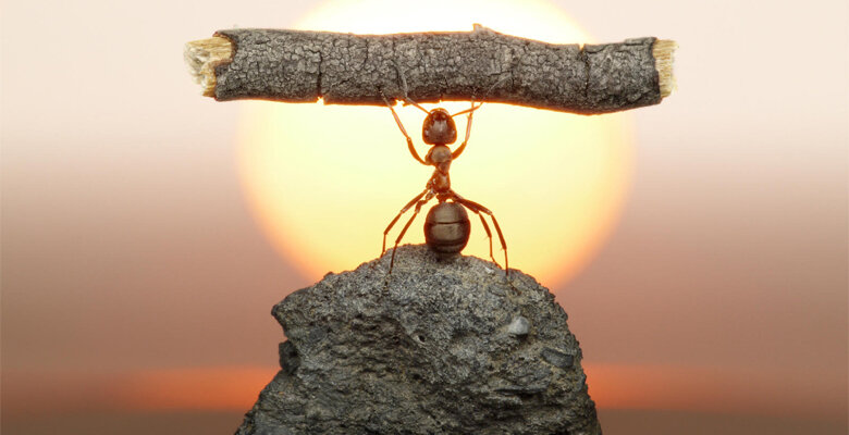 Изображение с сайта sunmag.me 