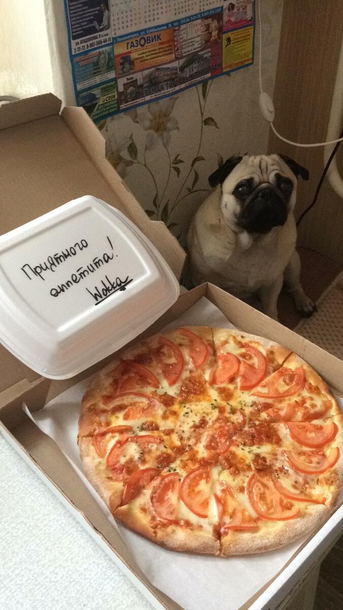 Когда пиццу заказали 👍