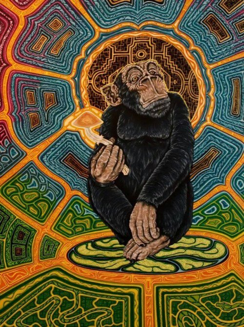  Причиной апгрейда нервной системы древних людей могли быть «волшебные» грибы !