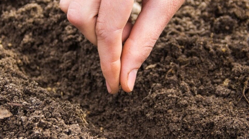  Лично я теперь отношусь к последним. 