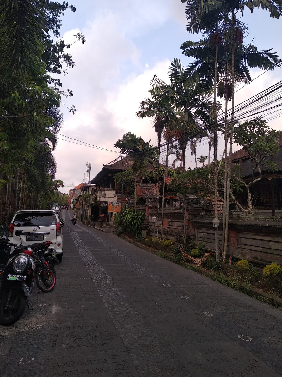 Дорога в мой новый дом в Убуде.