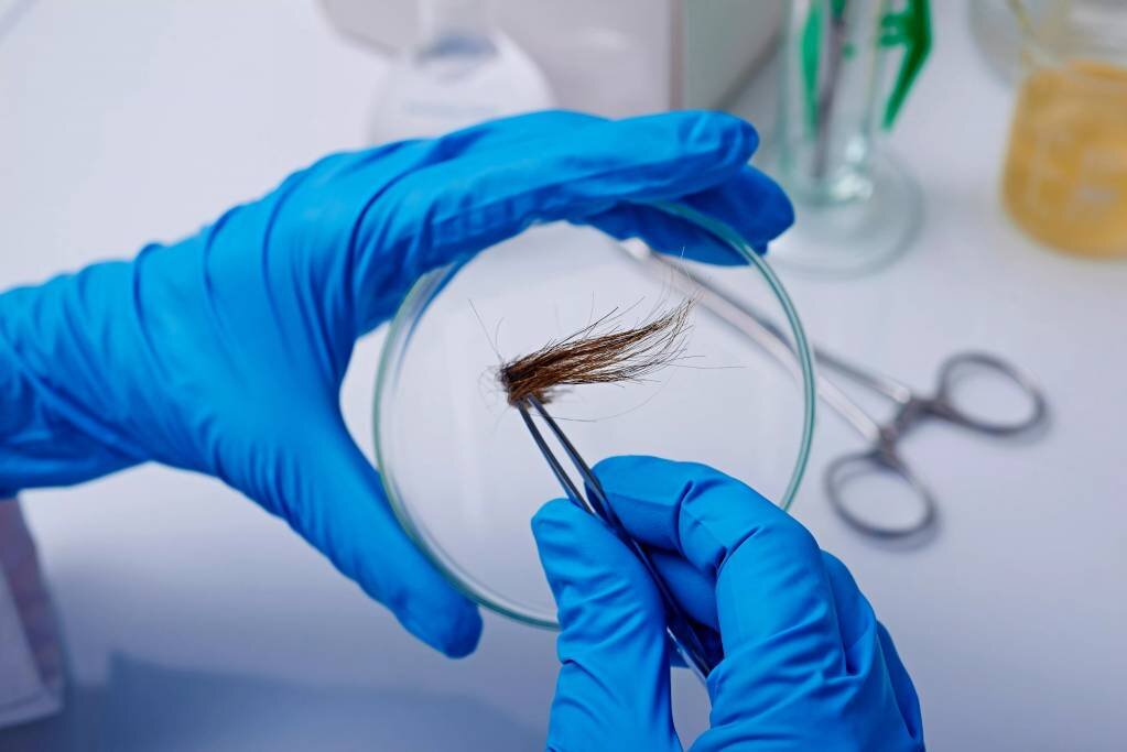 Фото из открытого источника. Яндекс.Картинки