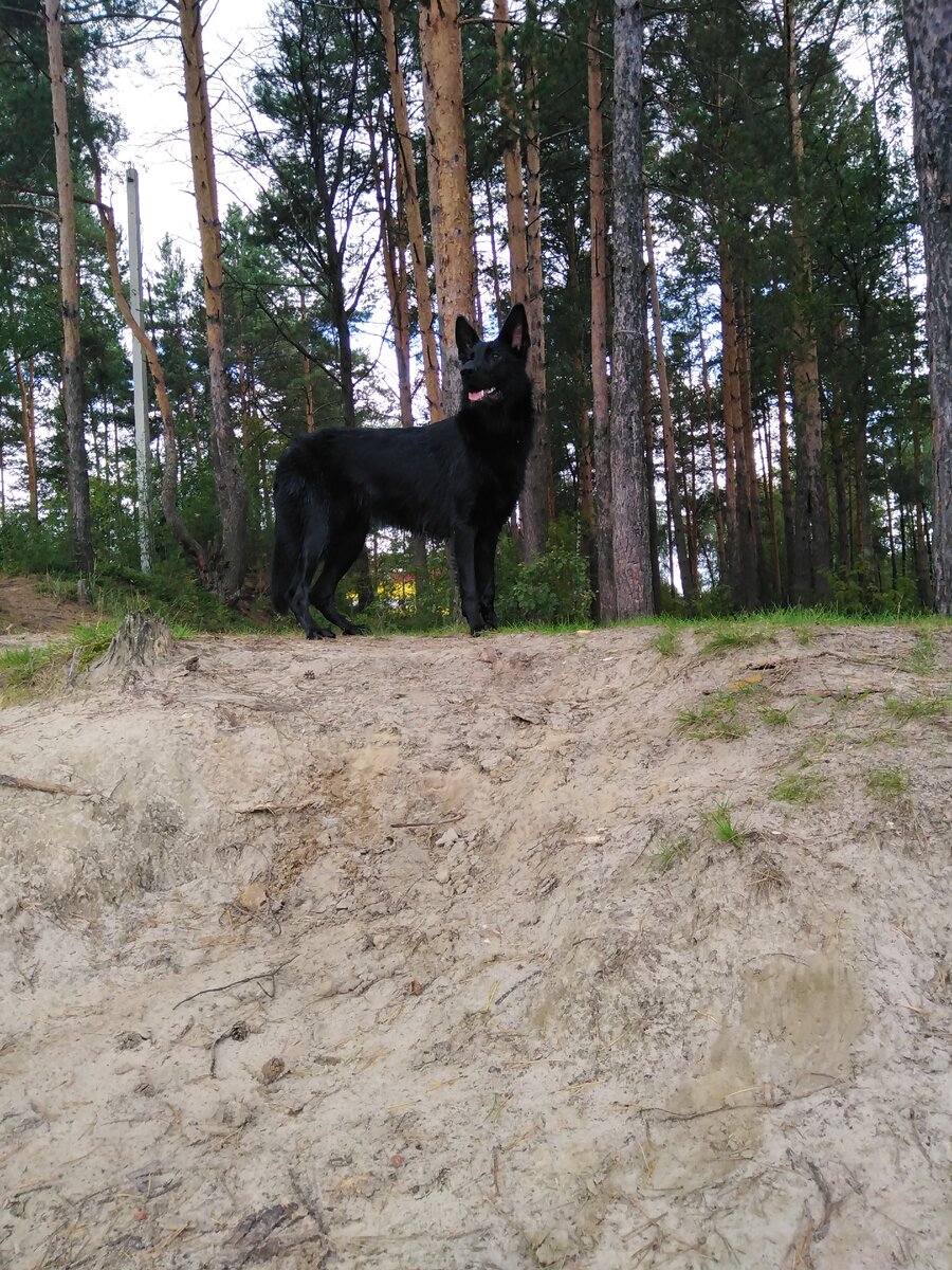 Луна. По-моему очень красиво стоит.. 