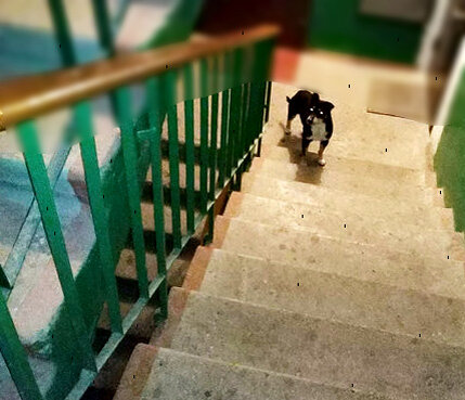 Красавица смотрит на меня!